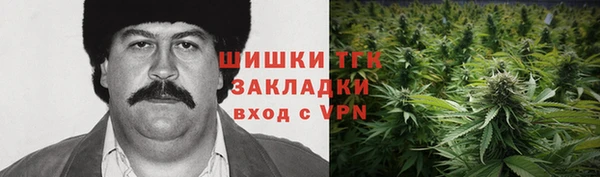 крисы Каменка