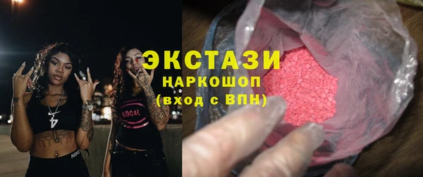 крисы Каменка
