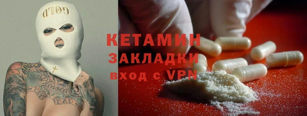 крисы Каменка
