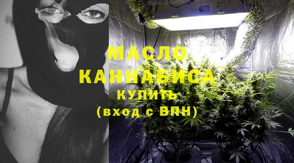 крисы Каменка