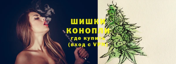 крисы Каменка