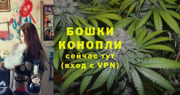 альфа пвп Каменногорск