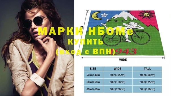 крисы Каменка