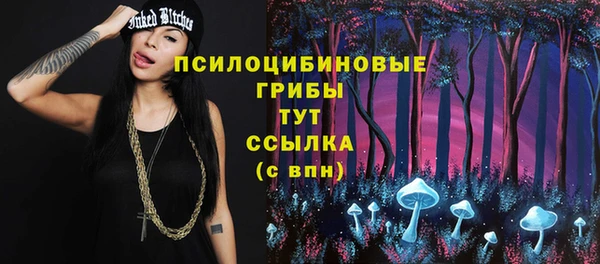 соль ск Иннополис