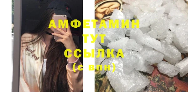 крисы Каменка